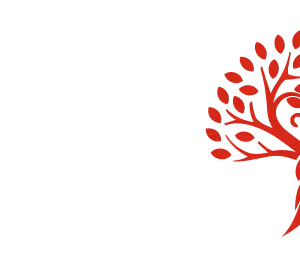 Anlo Financial Solutions logo