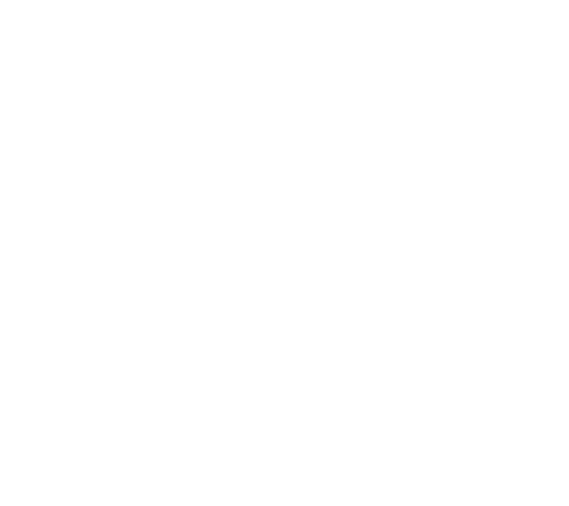 SAS Accountants logo
