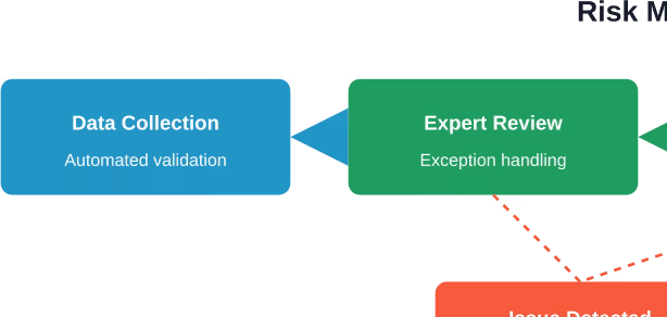 How quality VAT services manage risk through systematic review and correction processes