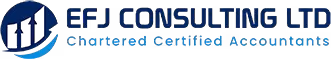 EFJ Consulting logo