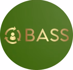 BASS Consultancy logo