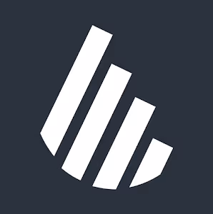 dns accountants logo