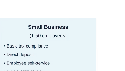 Assessment framework showing how payroll needs scale with business size and common pain points across all company sizes.