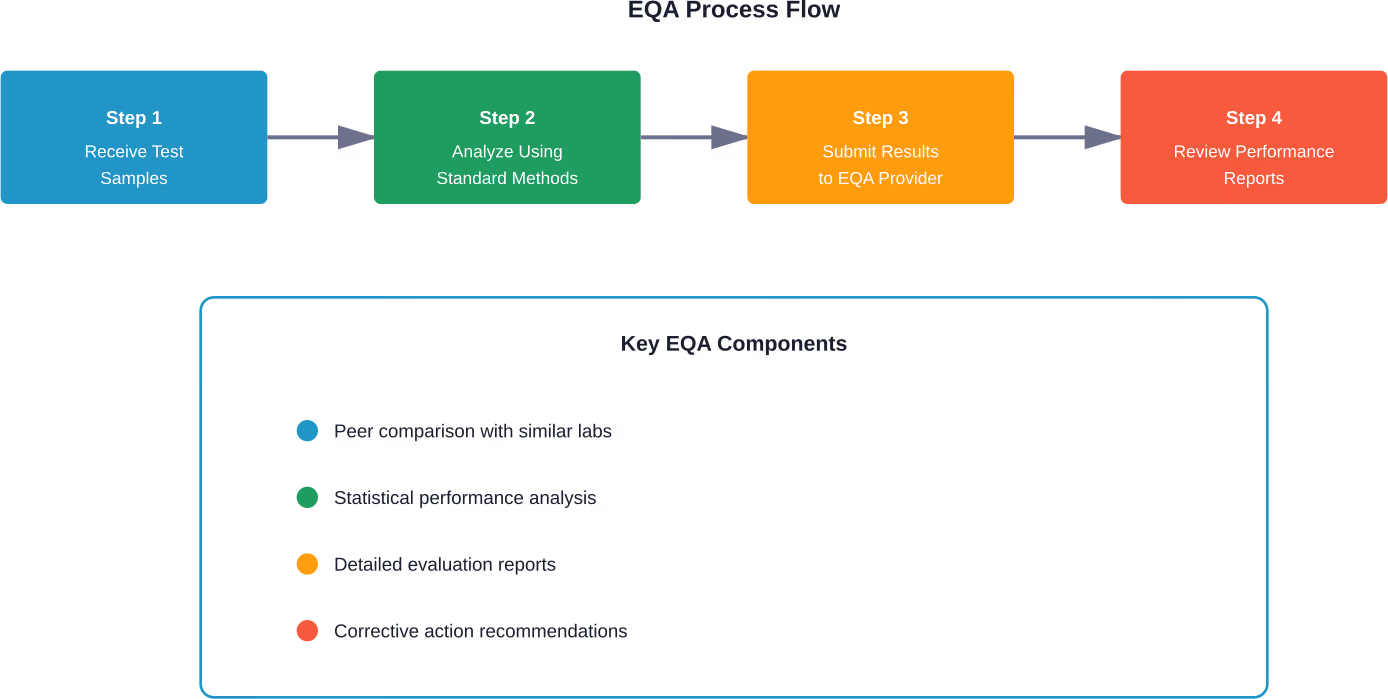 The four-step external quality assessment process ensures laboratories maintain accurate testing standards through independent verification and peer comparison.