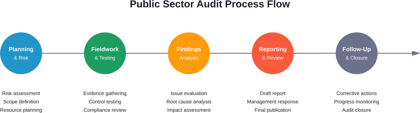 Standard public sector audit process from initial planning through closure and follow-up