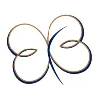 BBK Accounts logo