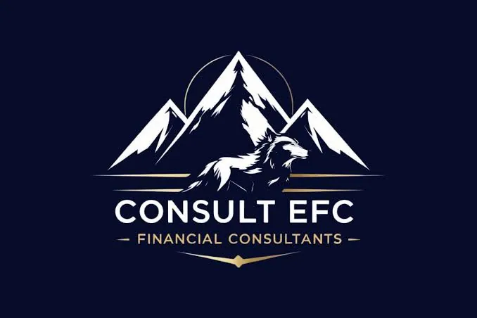Consult EFC logo