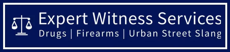 Expert Witness Services logo
