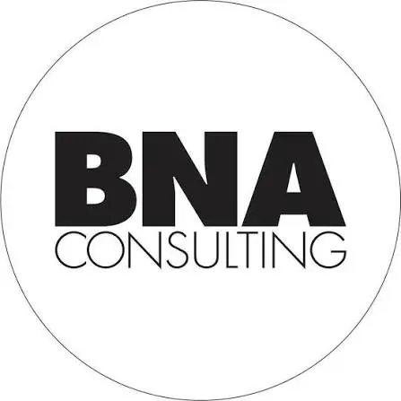 BNA Consulting logo