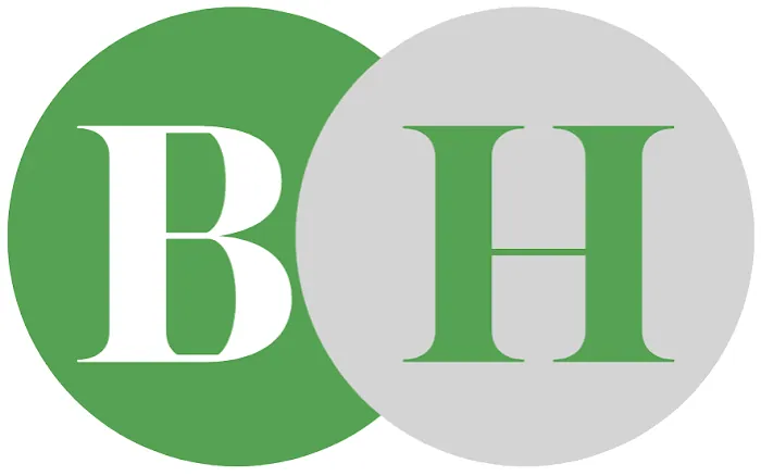 Bayar Hughes & Co logo